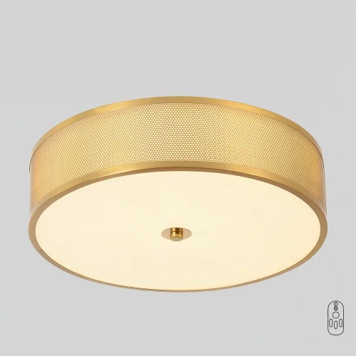 Светильник потолочный ЛЕД с пультом BUTTON PL32W LED Crystal Lux белый на 1 лампу, основание латунь в стиле американский круглый с пультом