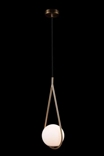 Светильник подвесной Glob LOFT2599-A LOFT IT белый 1 лампа, основание медь в стиле современный  фото 4