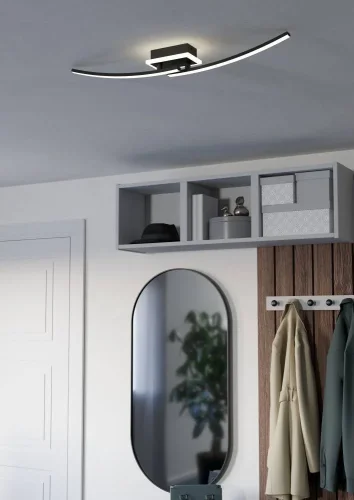 Светильник потолочный LED Lungolago 901217 Eglo чёрный на 1 лампу, основание чёрное в стиле современный хай-тек фото 2 Светильник потолочный LED Lungolago 901217 Eglo чёрный на 1 лампу, основание чёрное в стиле современный хай-тек фото 2