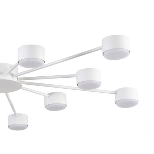 Светильник потолочный Torina 8343/12C Lumion белый на 12 ламп, основание белое в стиле минимализм фото 5
