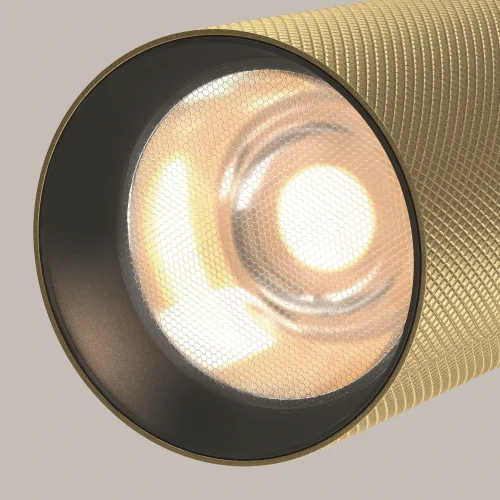 Трековый светильник LED Magnetic track system Exility TR097-2-12W3K-M-BMG Maytoni матовый золото для шинопроводов серии Magnetic track system Exility чёрный фото 14