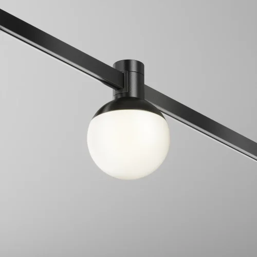 Трековый светильник LED Magnetic trаck system Flarity TR149-1-5W3K-B Maytoni белый для шинопроводов серии Magnetic trаck system Flarity чёрный фото 5