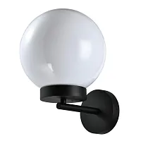 Настенный светильник Bolla 373620 Lightstar уличный IP65 чёрный 1 лампа, плафон белый в стиле современный E27