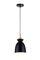 Светильник подвесной Марилоу (Marylou) TL1202H-01BK Toplight чёрный на 1 лампу, основание чёрное в стиле современный Светильник подвесной Марилоу (Marylou) TL1202H-01BK Toplight чёрный на 1 лампу, основание чёрное в стиле современный