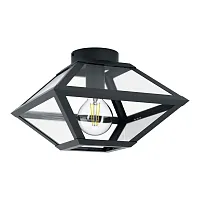 Светильник потолочный Casefabre 98355 Eglo прозрачный чёрный 1 лампа, основание чёрное в стиле современный 