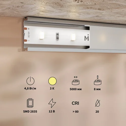 Светодиодная лента 12В 2835 4,8Вт/м 3000K 5м IP 20 201162 Maytoni цвет LED тёплый белый 3000K, световой поток 480Lm фото 2