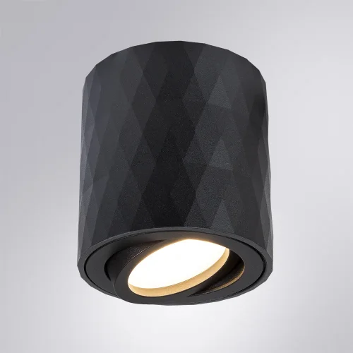 Светильник накладной Fang A5559PL-1BK Arte Lamp чёрный 1 лампа, основание чёрное в стиле современный круглый фото 4