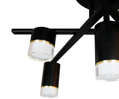 Люстра потолочная LED Нилс 07850-7,19 Kink Light чёрная прозрачная на 7 ламп, основание чёрное в стиле современный хай-тек  фото 2