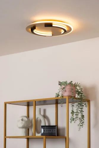 Светильник потолочный LED Andreas 44113/30/02 Lucide латунь матовый золото на 1 лампу, основание латунь матовое золото в стиле современный фото 5