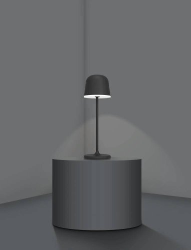 Ландшафтный светильник LED Mannera 900457 Eglo уличный IP54 чёрный 1 лампа, плафон чёрный в стиле современный LED фото 2