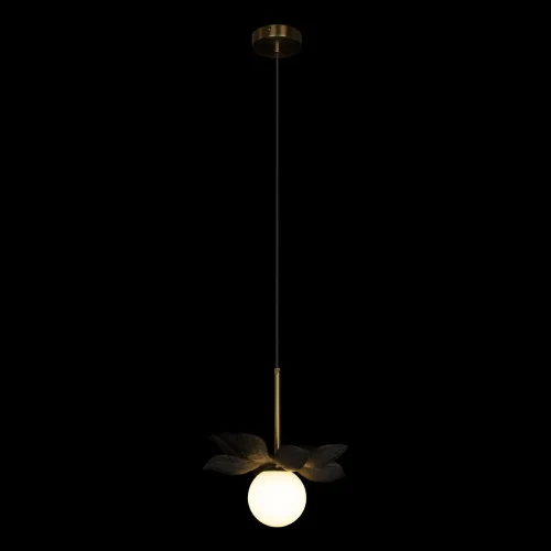 Светильник подвесной Monro 10213/B Black LOFT IT белый 1 лампа, основание золотое в стиле современный  фото 2