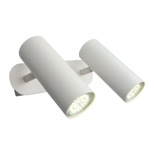 Спот с 2 лампами Rein APL.004.01.02 Aployt белый LED в стиле модерн 