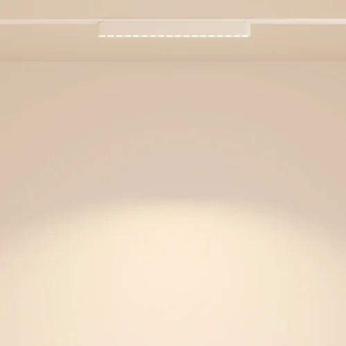 Трековый светильник LED Magnetic track system Radity TR082-1-18W3K-M-W Maytoni белый для шинопроводов серии Magnetic track system Radity белый фото 12