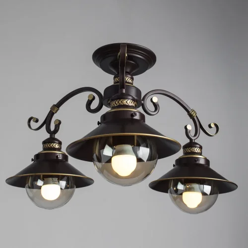 Люстра потолочная Grazioso A4577PL-3CK Arte Lamp прозрачная на 3 лампы, основание коричневое в стиле кантри  фото 2
