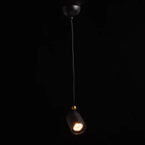 Светильник подвесной Астор 545013701 DeMarkt чёрный 1 лампа, основание чёрное в стиле современный  фото 2