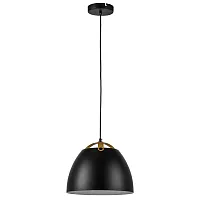 Светильник подвесной Loft 765047 Lightstar чёрный на 1 лампу, основание чёрное в стиле современный лофт 