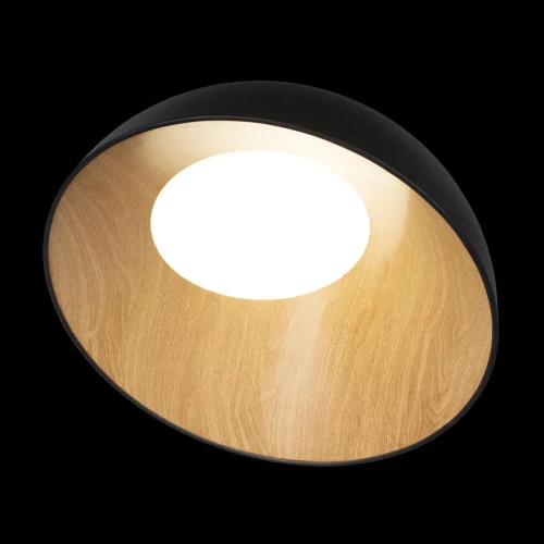Светильник потолочный LED Egg 10197/500 Black LOFT IT белый чёрный коричневый 1 лампа, основание коричневое чёрное в стиле современный  фото 4