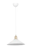 Светильник подвесной Delilah TL1606H-01WH Toplight белый 1 лампа, основание белое в стиле лофт 