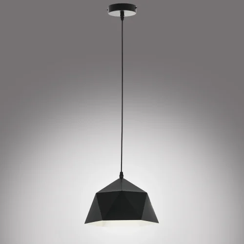 Светильник подвесной Brigitte MR1401-1P MyFar чёрный 1 лампа, основание чёрное в стиле современный скандинавский лофт  фото 5