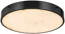 Светильник потолочный LED Devon 3395-4 BL MB Belfast белый на 1 лампу, основание чёрное в стиле современный 