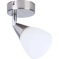 Спот с 1 лампой Keziah TL1232Y-01SN Toplight белый E14 в стиле современный 