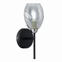 Бра Gloa SLE155511-01 Evoluce чёрный серый 1 лампа, основание чёрное в стиле современный 