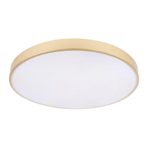 Светильник потолочный LED Flims 10228/B LOFT IT белый 1 лампа, основание золотое в стиле современный  фото 3