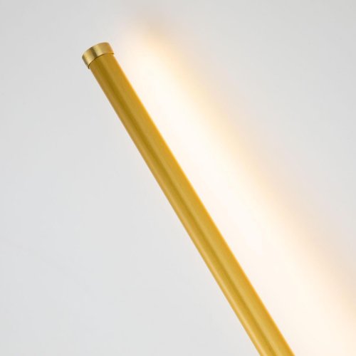 Бра LED Reed 3001-2W Favourite латунь на 1 лампа, основание латунь в стиле современный  фото 4