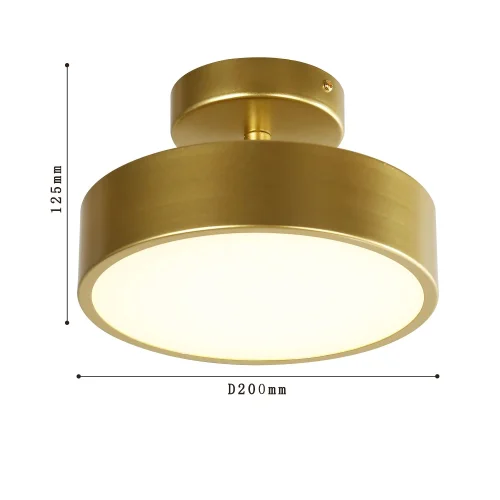 Светильник потолочный LED Atma 3059-2P F-promo латунь 1 лампа, основание латунь в стиле современный  фото 3