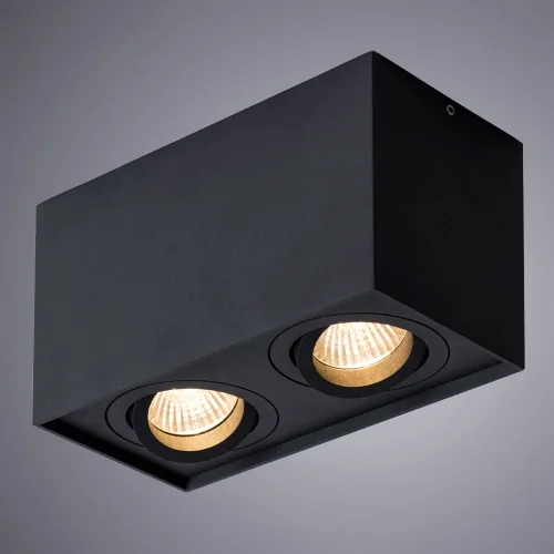 Светильник накладной Factor A5544PL-2BK Arte Lamp чёрный 2 лампы, основание чёрное в стиле современный прямоугольный фото 2