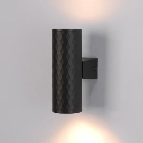 Настенный светильник уличный Hyadum A3458AL-2BK Arte Lamp уличный IP54 чёрный на 2 лампы, плафон чёрный в стиле современный GU10 фото 3