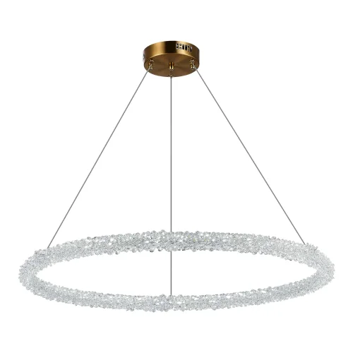 Люстра подвесная LED с пультом Avana SL6110.223.01 ST-Luce прозрачная на 1 лампа, основание золотое в стиле современный с пультом кольца фото 3