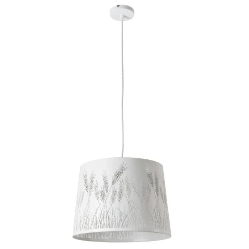 Светильник подвесной Celesta A2700SP-1WH Arte Lamp белый на 1 лампу, основание белое в стиле современный 