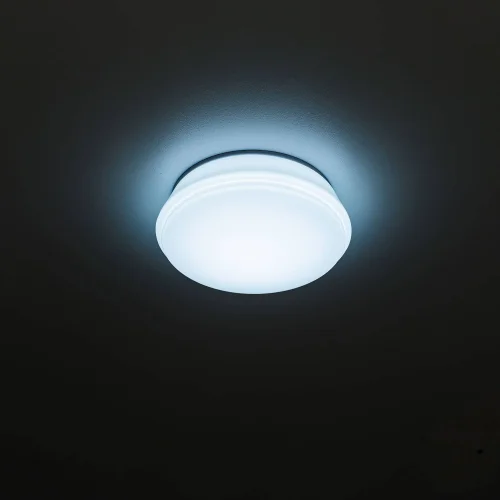Светильник точечный LED Дельта CLD6008N Citilux белый 1 лампа, основание белое в стиле современный  фото 5