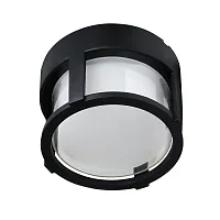 Потолочный светильник уличный LED Ulysses A6206PF-1BK Arte Lamp уличный IP65 чёрный на 1 лампу, плафон белый в стиле современный LED