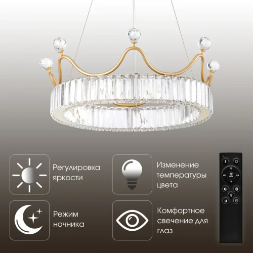 Люстра подвесная LED с пультом AM-Venezia 310322/D500 GD Arte Milano прозрачная на 1 лампу, основание латунь в стиле современный кольца с пультом фото 12
