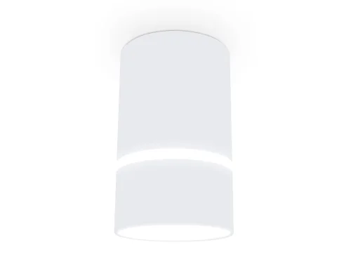 Светильник накладной TN3411 Ambrella light белый 1 лампа, основание белое в стиле современный круглый