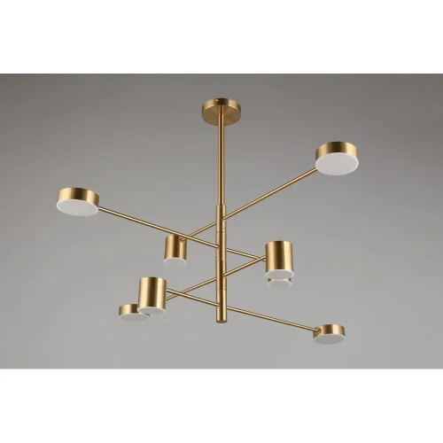 Люстра потолочная LED Frania APL.017.17.48 Aployt белая на 1 лампу, основание бронзовое в стиле современный фото 4