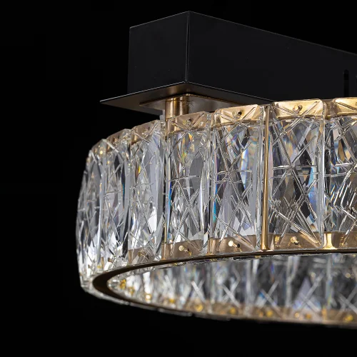 Люстра потолочная LED Palant CL325142 Citilux прозрачная на 1 лампу, основание чёрное в стиле классический современный фото 4