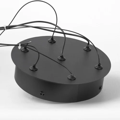 Люстра подвесная LED Screven LSP-7320 Lussole прозрачная на 1 лампу, основание чёрное в стиле современный хай-тек фото 5