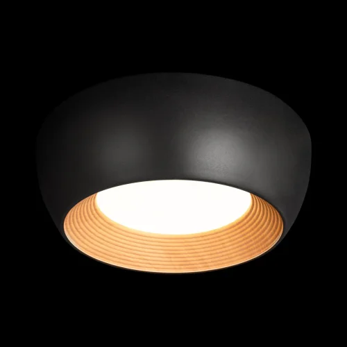 Светильник потолочный LED Folk 10255/350 Black LOFT IT чёрный на 1 лампу, основание чёрное в стиле современный фото 2