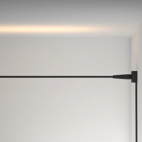 Трековый светильник LED Flex Magnetic track system Elasity TR160-1-50W3K-5B Maytoni прозрачный для шинопроводов серии Magnetic track system Elasity чёрный фото 5