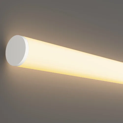 Гибкий неон LNM-D25-48V-12,5W-3K-R-IP65 433001 433001 Maytoni цвет LED тёплый белый 3000K, световой поток Lm фото 5