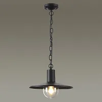 Подвесной светильник Furcadia 4833/1 Odeon Light уличный IP44 чёрный 1 лампа, плафон чёрный в стиле современный E27