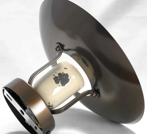 Светильник потолочный Vermilion GRLSP-8161 Lussole коричневый 1 лампа, основание коричневое бежевое в стиле лофт  фото 3