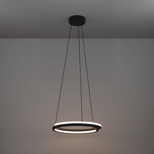 Светильник подвесной LED Mezzomonte 901822 Eglo чёрный на 1 лампу, основание чёрное в стиле современный хай-тек кольца фото 7