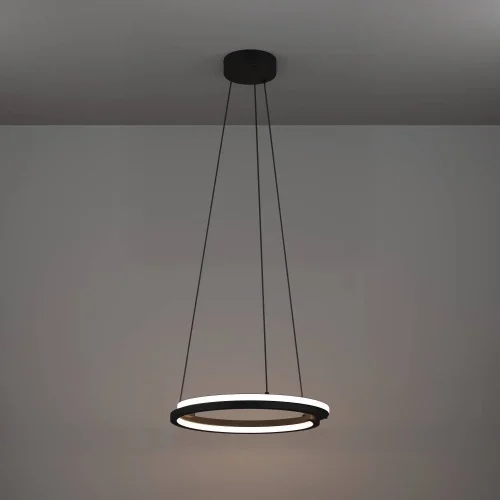 Светильник подвесной LED Mezzomonte 901822 Eglo чёрный на 1 лампу, основание чёрное в стиле хай-тек современный кольца фото 7