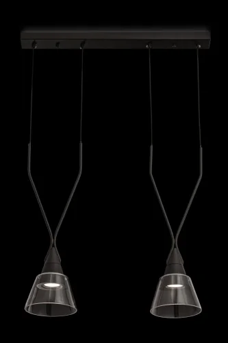 Светильник подвесной Hilo P063PL-02B Maytoni прозрачный 2 лампы, основание чёрное в стиле современный  фото 2