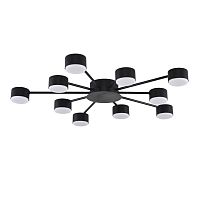 Светильник потолочный Torina 8344/10C Lumion чёрный на 10 ламп, основание чёрное в стиле минимализм 