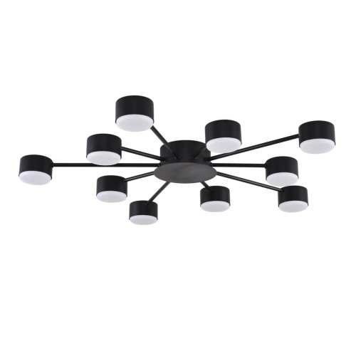 Светильник потолочный Torina 8344/10C Lumion чёрный на 10 ламп, основание чёрное в стиле минимализм 